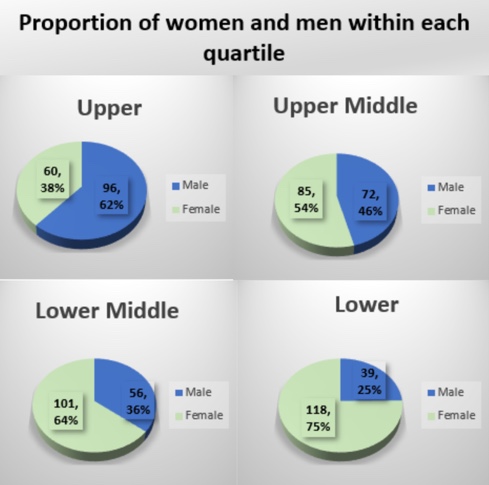 A chart for the proportion of women and men within each quartile